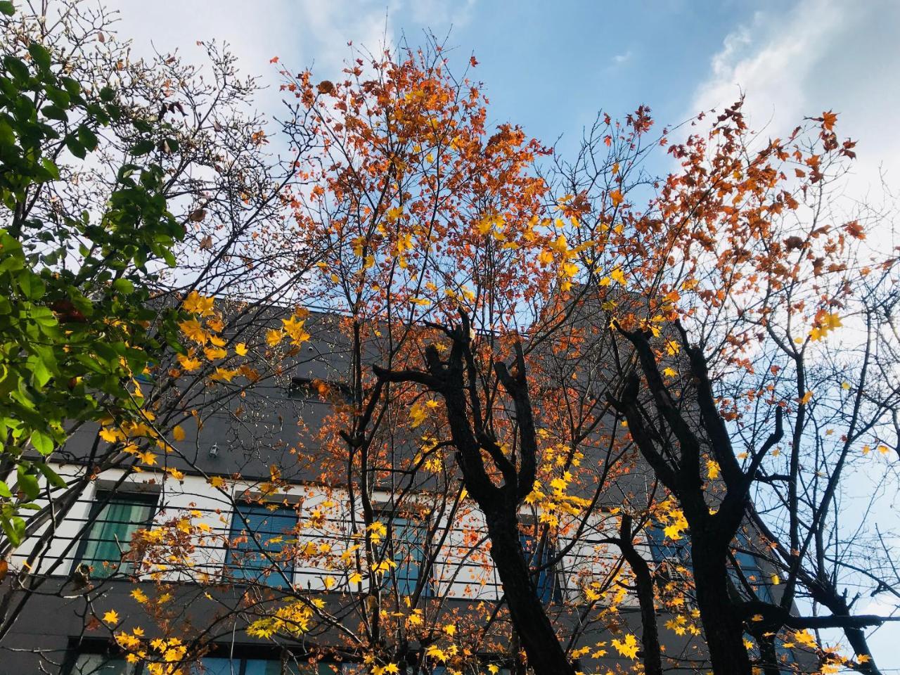 Naru Guesthouse Seoul Exterior foto