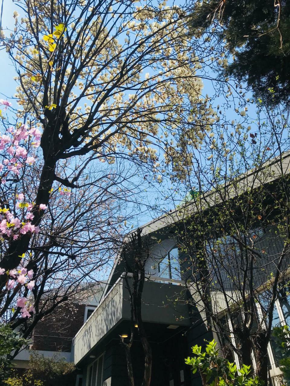 Naru Guesthouse Seoul Exterior foto